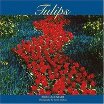Tulips 2008 Wall Calendar (German, French, Spanish and English Edition)