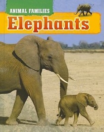 Elephants (Animal Families)