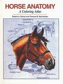 Horse Anatomy: A Coloring Atlas