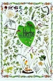 Herbs for Healing in New Zealand