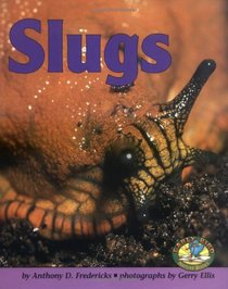 Slugs (Early Bird Nature)