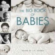 The Big Book of Babies (Big Book of . . . (Welcome Books))