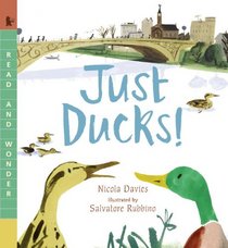 Just Ducks! (Read and Wonder)