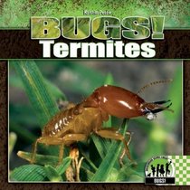 Termites (Bugs!)