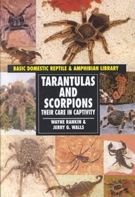 Tarantulas  Scorpions (Reptiles and Amphibians)