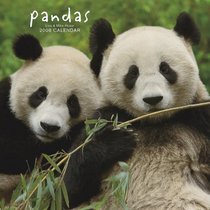 Pandas 2008 Square Wall Calendar