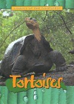 Animals of the Rainforest: Tortoises (Animals of the Rainforest)