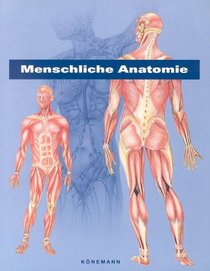 Menschliche Anatomie