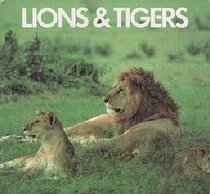 Lions  Tigers (Animal Information Books)