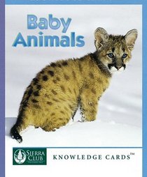 Baby Animals Sierra Club Knowledge Cards Deck
