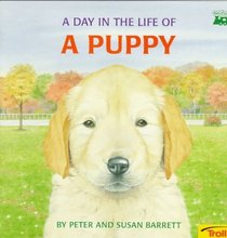 A Day in the Life of a Puppy (Day in the Life of)
