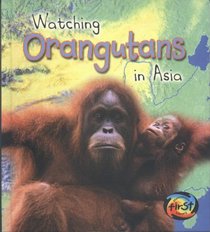 Watching Orangutans in Asia (Heinemann First Library)