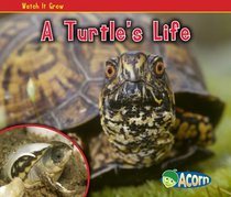 A Turtle's Life (Acorn)