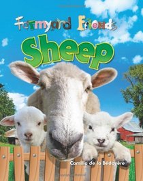 Sheep (Farmyard Friends)