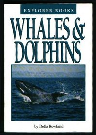 Whales & Dolphins (Explorer Books)