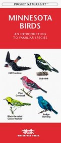 Minnesota Birds: An Introduction to Familiar Species (Pocket Naturalist)