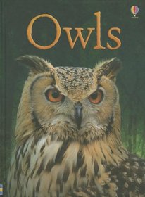 Owls (Usborne Beginners)