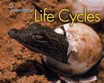 Life Cycles (Investigate)