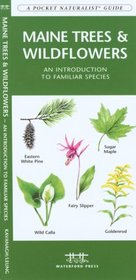 Maine Trees & Wildflowers: An introduction to over 140 familiar species of trees, shrubs and wildflowers (Pocket Naturalist - Waterford Press)