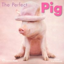 The Perfect Pig 2008 Mini Calendar
