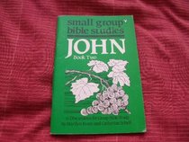 Small Group Bible Studies: John: Book 2: 11 Discussions for Group Bible Study