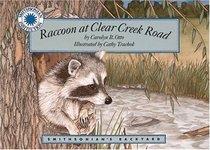 Raccoon At Clear Creek Road (Smithsonian's Backyard)