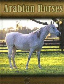 Arabian Horses (Eye to Eye With Horses)