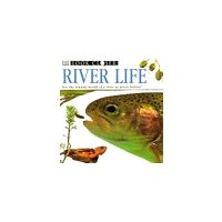 River Life : A Close-Up Look at the Natural World of a River