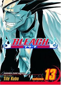 Bleach, Vol 13