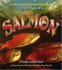 The Life Cycle of a Salmon (The Life Cycle)