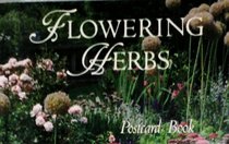 Flowering Herbs Postcard Book