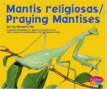 Mantis religiosa / Praying Mantises (Pebble Plus Bilingual) (Spanish Edition)