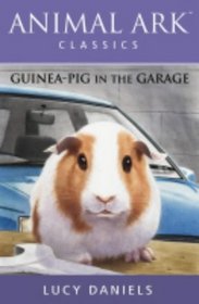 Guinea-Pig in the Garage