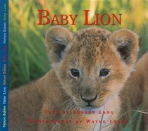 Baby Lion (Nature Babies)