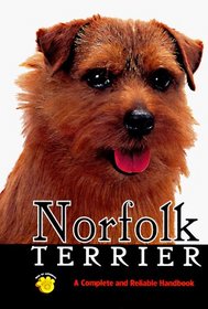 Norfolk Terrier (Rare Breed)