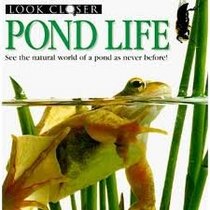 Pond Life (Look closer)