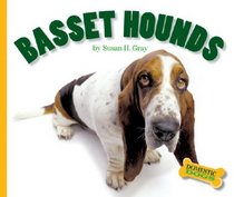 Basset Hounds (Domestic Dogs)