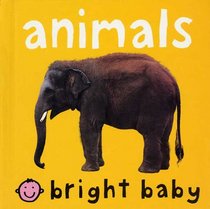 Bright Baby Animals (Y)