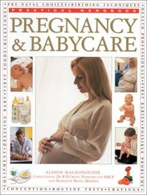 Pregnancy and Baby Care (Practical Handbooks (Lorenz))