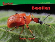 Beetles (Bugs)