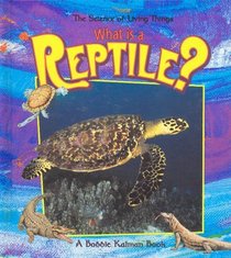 What Is a Reptile? (Science of Living Things)