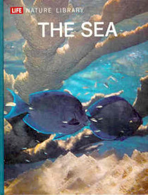 Nature Library:  The Sea