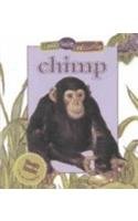 Chimp (Busy Baby Animals)