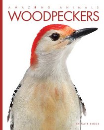 Amazing Animals: Woodpeckers