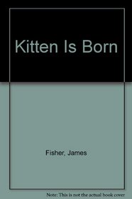 A kitten is born