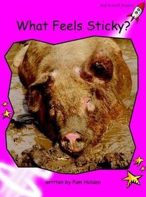 What Feels Sticky?: Emergent (Red Rocket Readers: Non-fiction Set A)