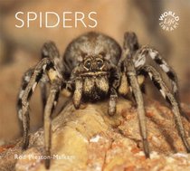 Spiders (WorldLife Library)