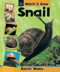 Snail (Watch it Grow)