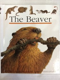 The Beaver (First Discovery)