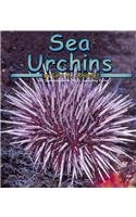 Sea Urchins (Ocean Life) (Schaefer, Lola M., Ocean Life.)